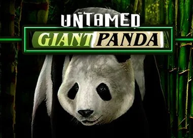 Untamed Giant Panda