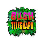 Играть в игровой автомат Bush Telegraph