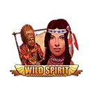 Играть в игровой автомат Wild Spirit